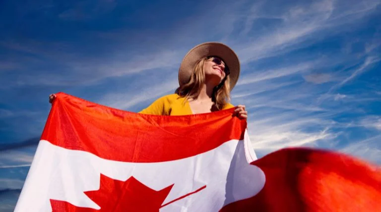 Text to Speech French Canadian voices makes it very easy to create video voiceovers