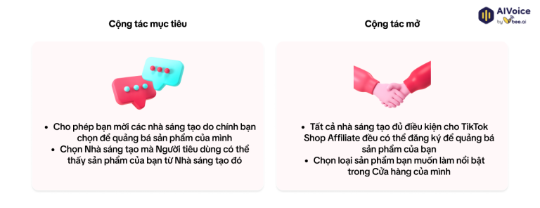 Các loại chiến dịch tiếp thị trên TikTok dành cho người bán