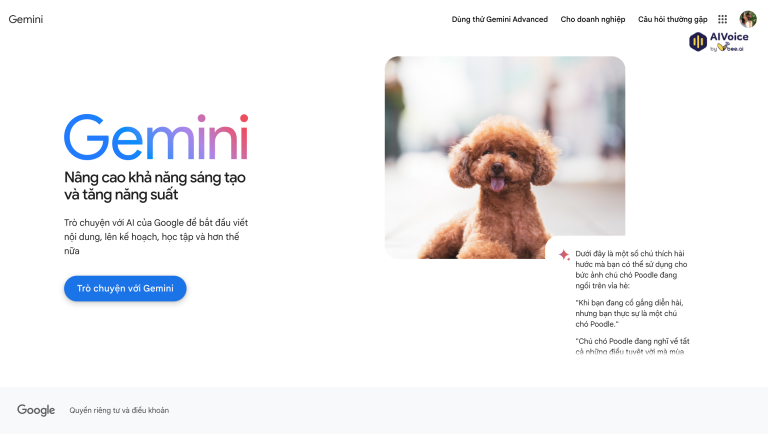 Bắt đầu trò chuyện với Gemini để khám phá công cụ