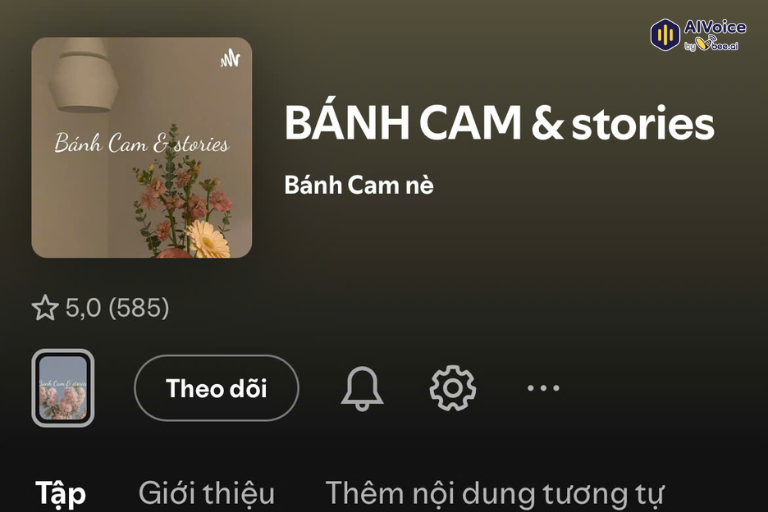 Bánh cam & Stories